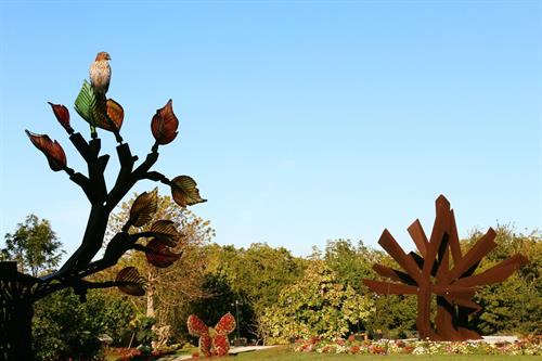 Gallery Image hawk_and_steel_palm_2.jpg