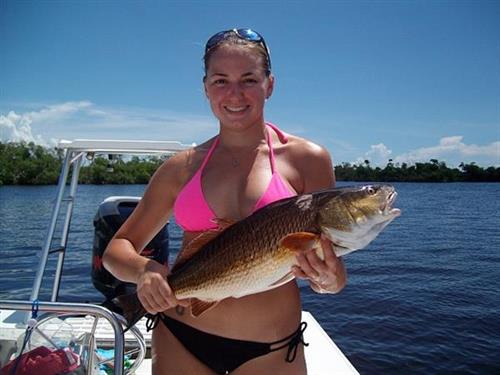 Redfish