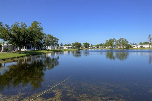 Gallery Image Lakewood_village-36.jpg