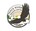 Peace River Wildlife Center