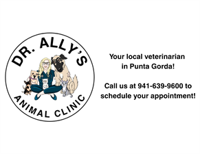 Dr. Ally's Animal Clinic of Punta Gorda