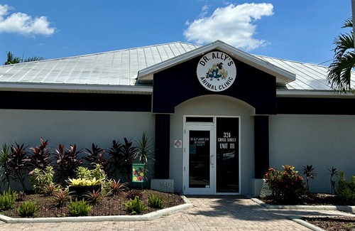 Gallery Image Dr._Ally's_Animal_Clinic_Building.jpg
