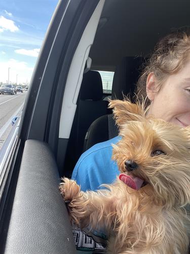 Daisy's Car Ride 