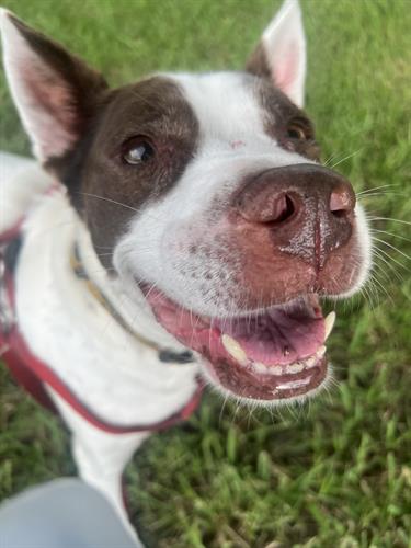 Happy Sally 