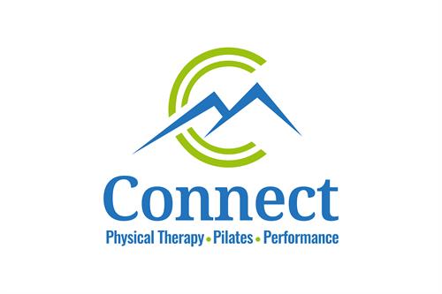 Gallery Image Connect_Primary_Logo-01.jpg