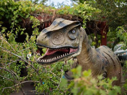Fun replicas help visitors imagine what life was like during the Dinosaur Age.