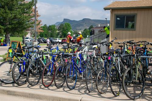 A selection of bikes for sale
