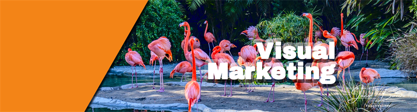 Borrero Photography & Marketing LLC