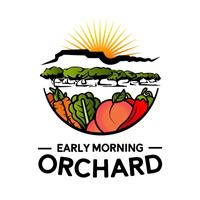 Early Morning Orchard