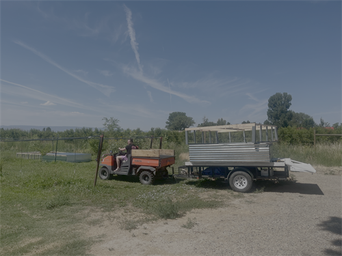 Deploying a new chicken tractor