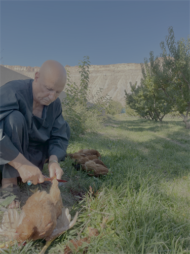 Afghani halal processing