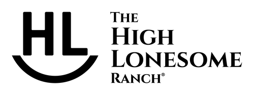 HLR Logo