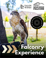 Falconry Experiences at Talon Wines