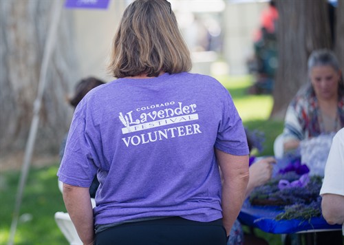 Volunteer at our Annual Festival!