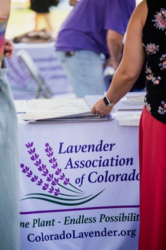 One Plant, Endless Possibilities