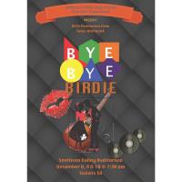 SVHS presents Bye Bye Birdie 