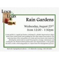 Lunch & Learn - Rain Gardens