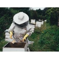 Bee Keeping 101 with Richard Dorzil