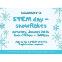 STEM Day - Snowflakes
