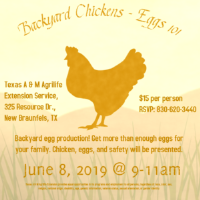 DIY - Backyard Chickens & Eggs