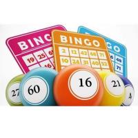 Bingo In Bulverde! - CANCELED