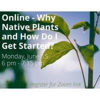 Online - Why Native Plants and How Do I Get Started?