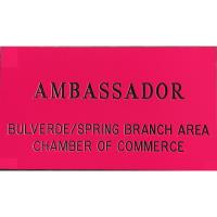 2021 Ambassador Kick Off Meeting