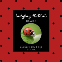 Ladybug Habitat Class at Spring Creek Gardens