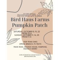 Bird Haus Farms Pumpkin Patch