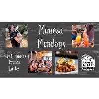 Mimosa Mondays with Goat Cuddles