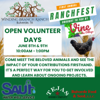 Open Volunteer Days at Ranchfest!