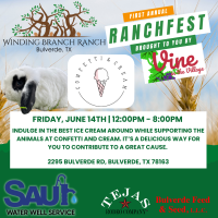 Ranchfest Social at Confetti & Cream