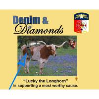 2015 Denim & Diamonds 