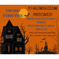 Pet Halloween Costume Photo Contest!