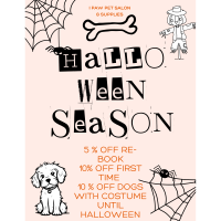 Halloween Season at iPaw Pet Salon