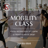 Mobility Class at Trinity Karate- Every Wed