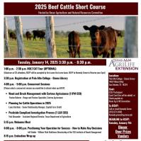 Beef Cattle Short Course