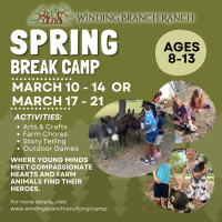 Spring Break Camp at Winding Branch Ranch