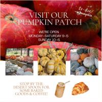 Visit the Pumpkin Patch
