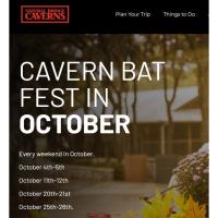 CAVERN BAT FEST at Natural Bridge Caverns