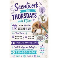 Scentwork on Thursday's with Nicci