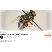 New World Screwworm Meeting & Webinar