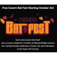 Cavern Bat Fest