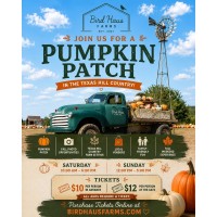 Pumpkin Patch at BirdHaus Farms