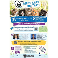 There's a Cat for That!