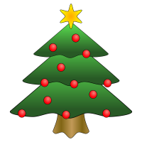 Bulverde Christmas Lighting