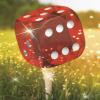 Chamber Golf Tournament and Casino Night