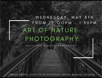 Nature Photography Series: The Art of Nature Photography