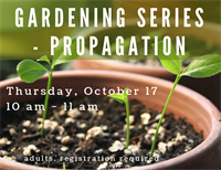 Gardening Series: Propagation
