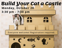Build Your Cat a Castle!